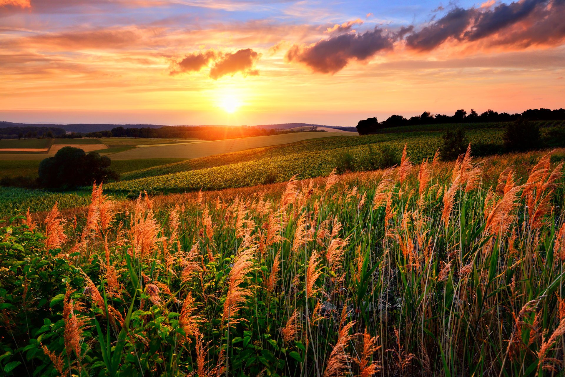 landscape sunset field the sky clouds the sun nature