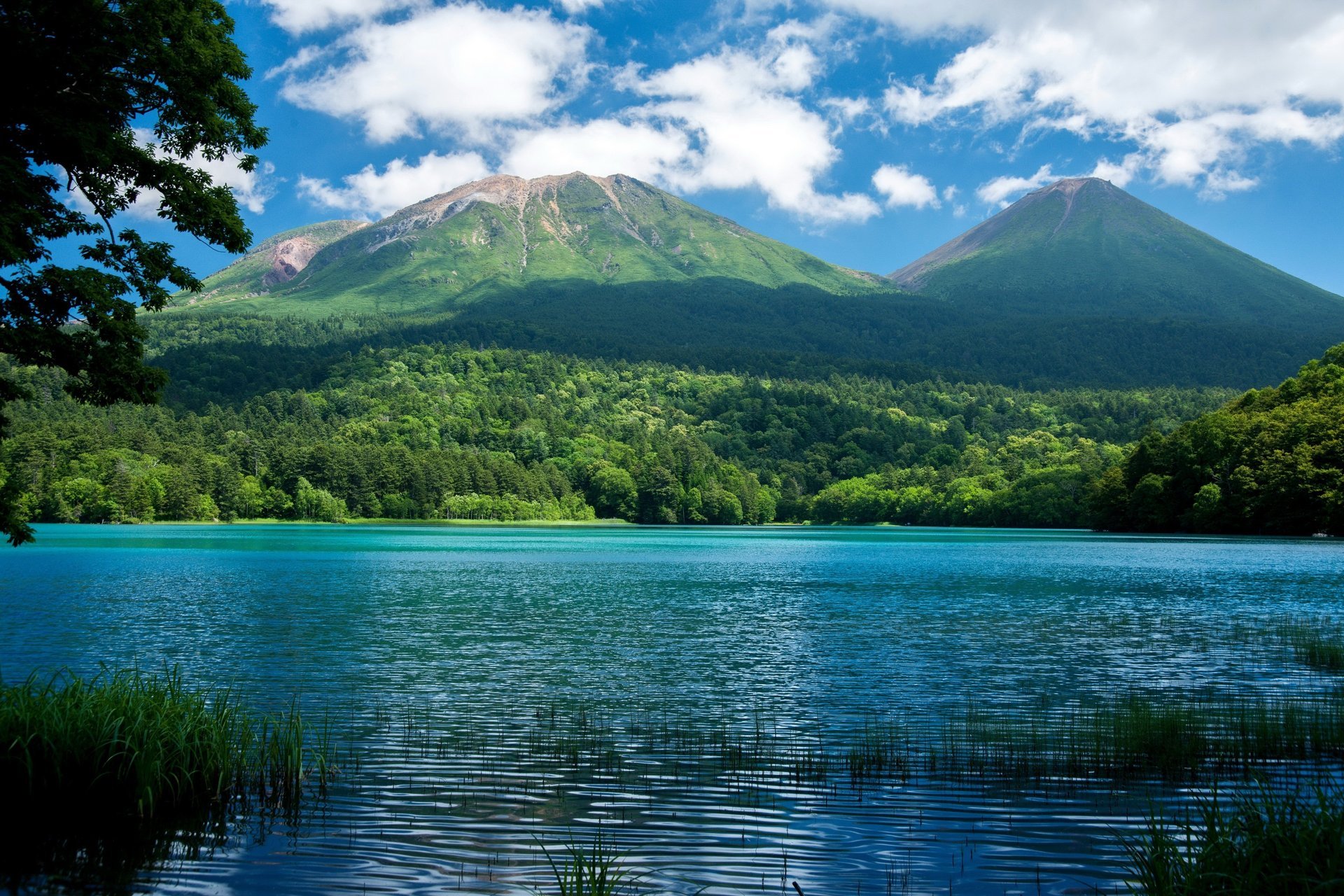 natur berge see wald