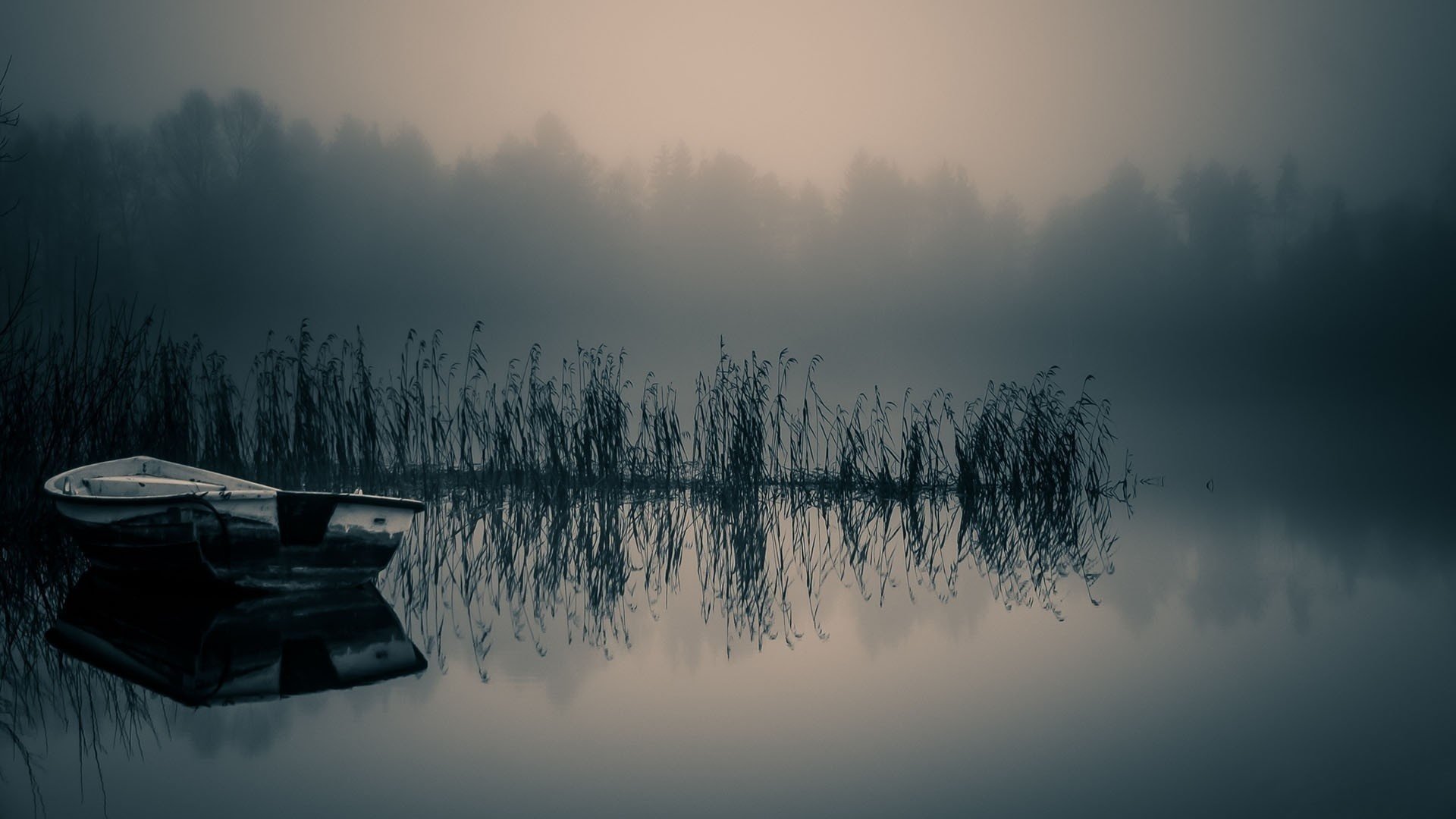 lago nebbia barca