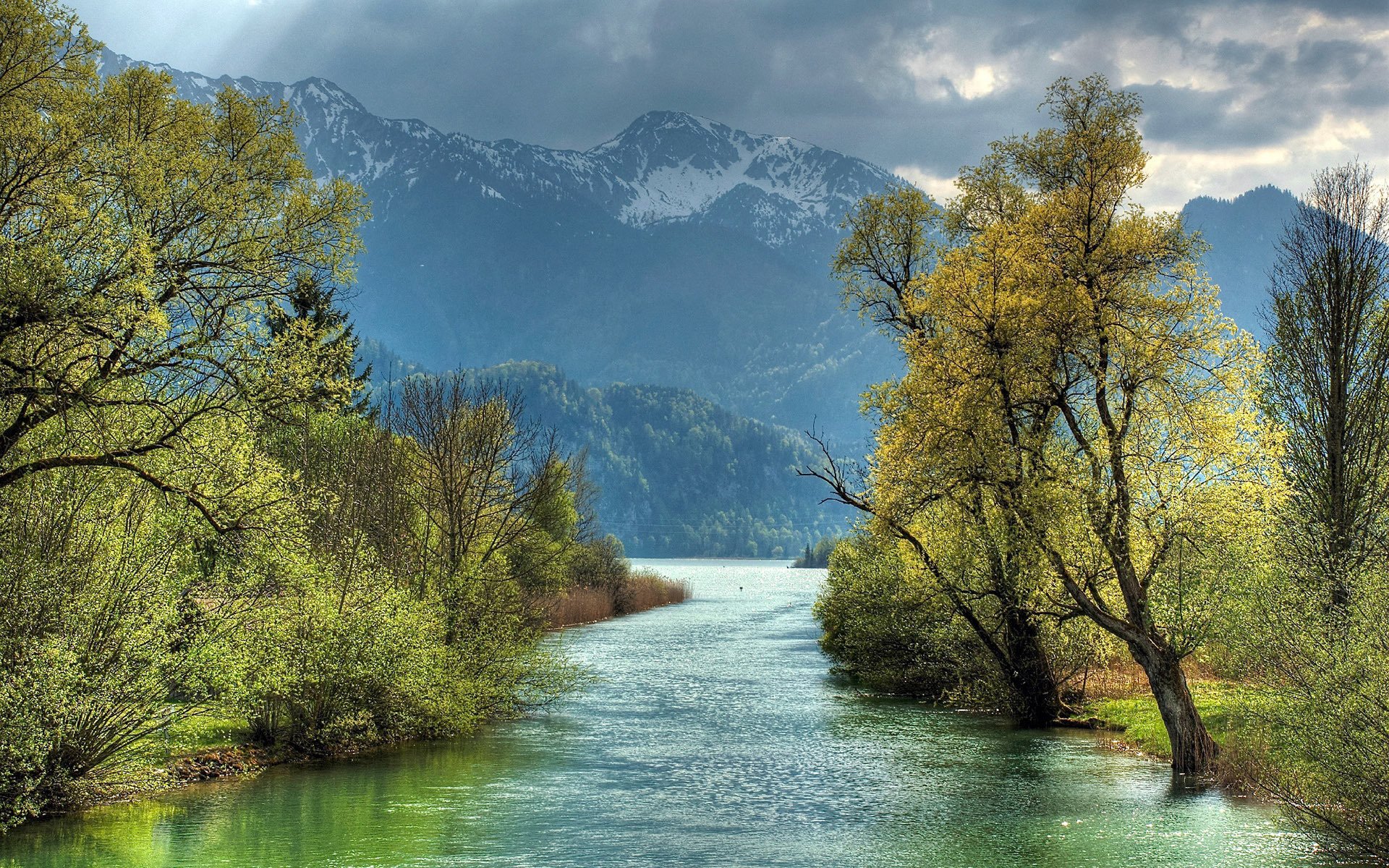 montañas bosque río