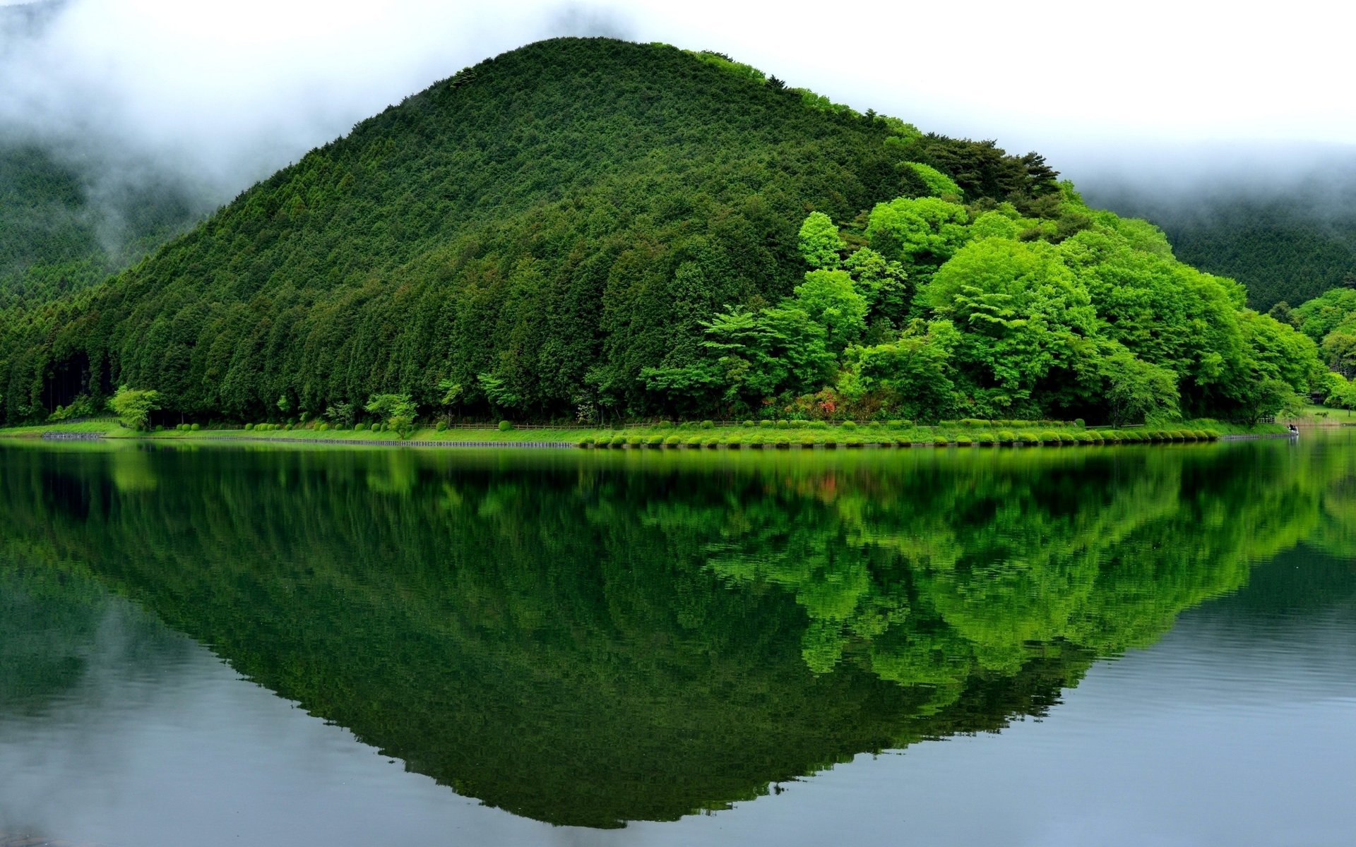 montaña bosque lago