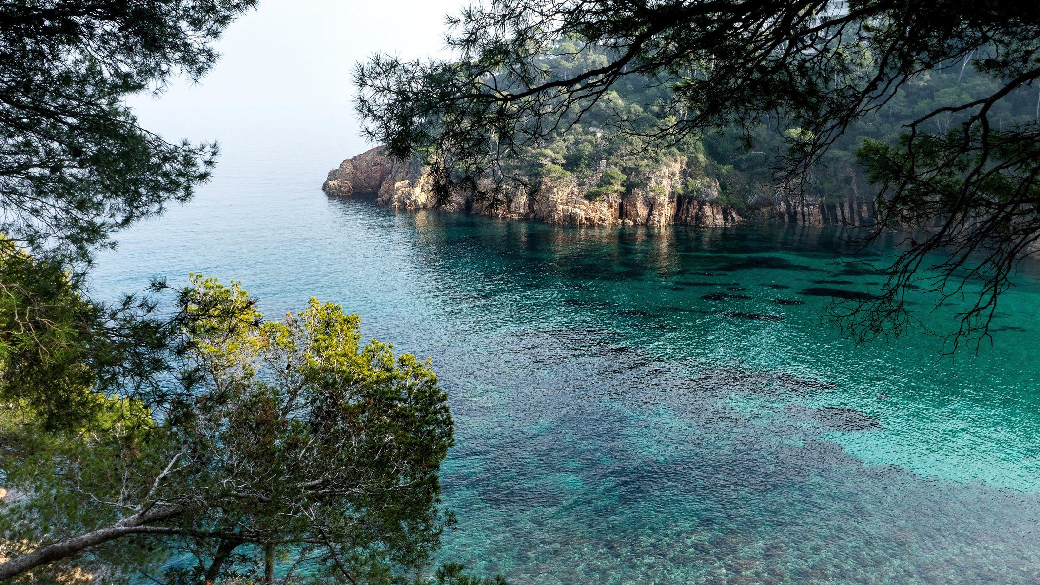 meer bucht felsen