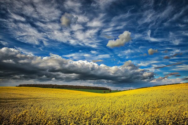 Gewitterwolken über dem Feld. Elemente