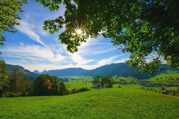 Giornata di sole estivo nella natura