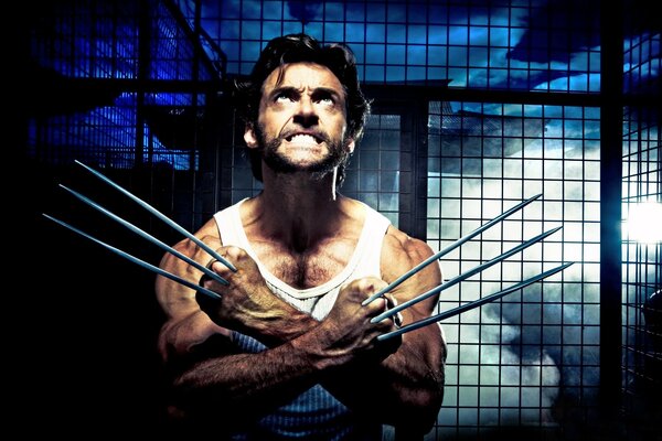 Wolverine z uwolnionymi pazurami obok kraty