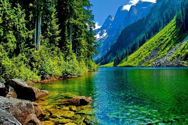 Mountains and forest are reflected in the river