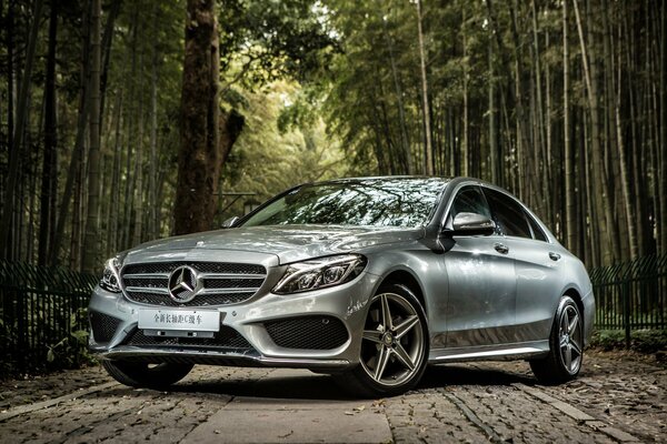 Silver Mercedes on a forest road