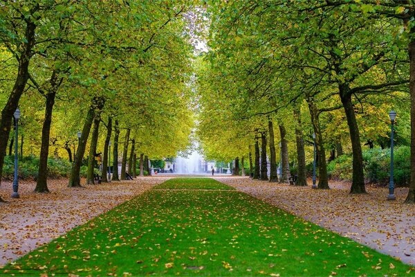 Allée à la frontière de l automne et de l été