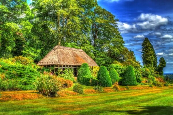 A summer house in the thick of the forest in the bosom of nature