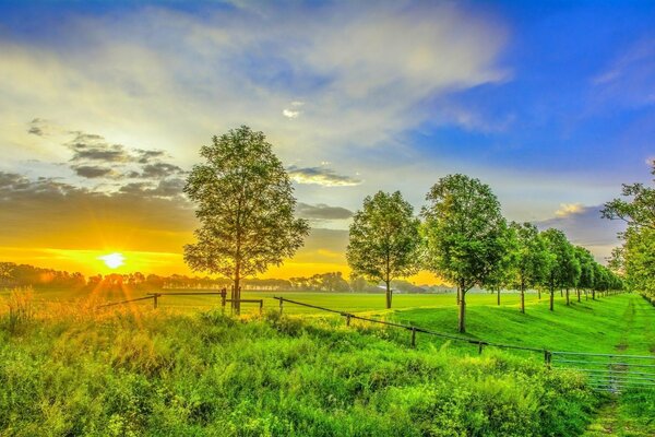 Hermosa puesta de sol en el Jardín de verano