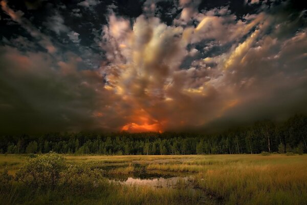 Incendio en el bosque-elemento vs. naturaleza