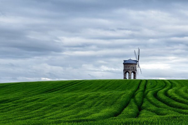 Die Mühle ist in der Ferne. Grünes Feld und Wolken