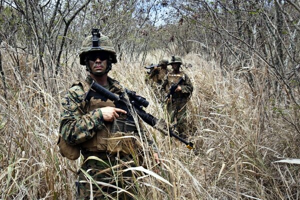 Soldiers fighting in hot reeds