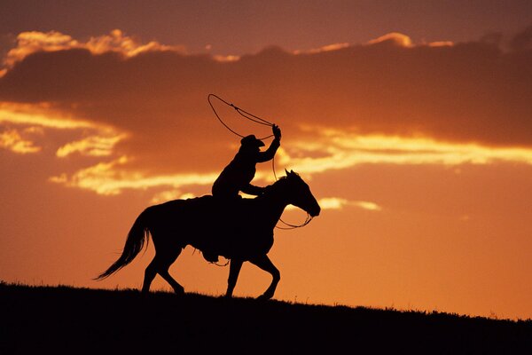 Silhouette d un cow-Boy sur un cheval avec un Lasso