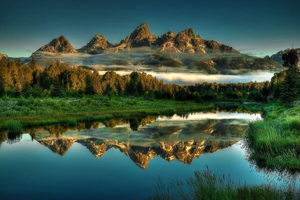 Foto estupenda de la naturaleza de las montañas, de la hierba verde y de la niebla