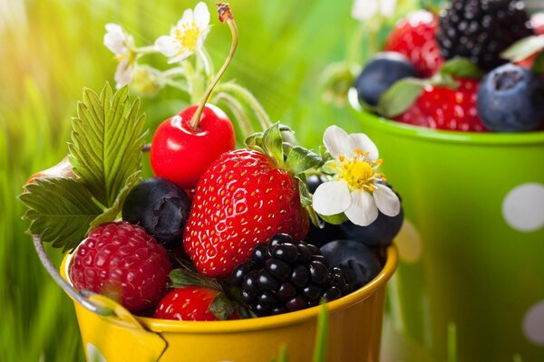 Beeren in bunten Eimern