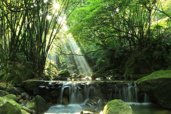 Le soleil d été se reflète dans les eaux cristallines