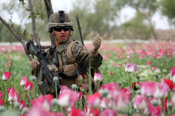 Amerykański wojskowy w polu kwiatów