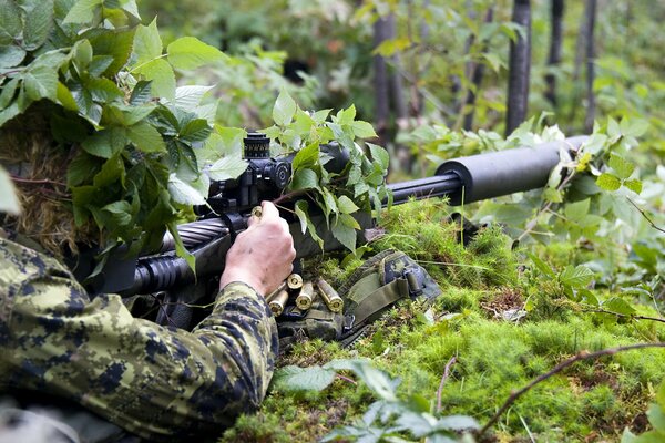 Tarnung und Verwendung eines Gewehrs im Wald