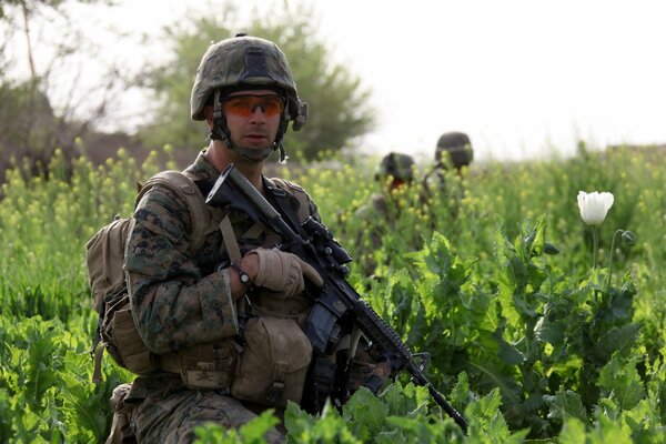 Militar estadounidense en el campo verde