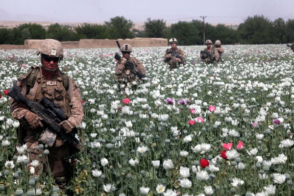 Soldiers in the field with weapons in colors