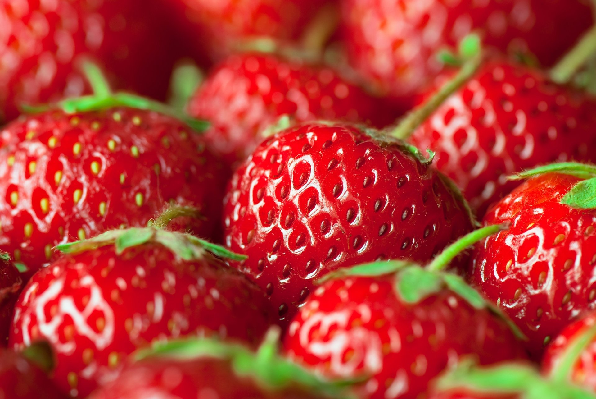 fruits fraise gros plan beaucoup gros plan