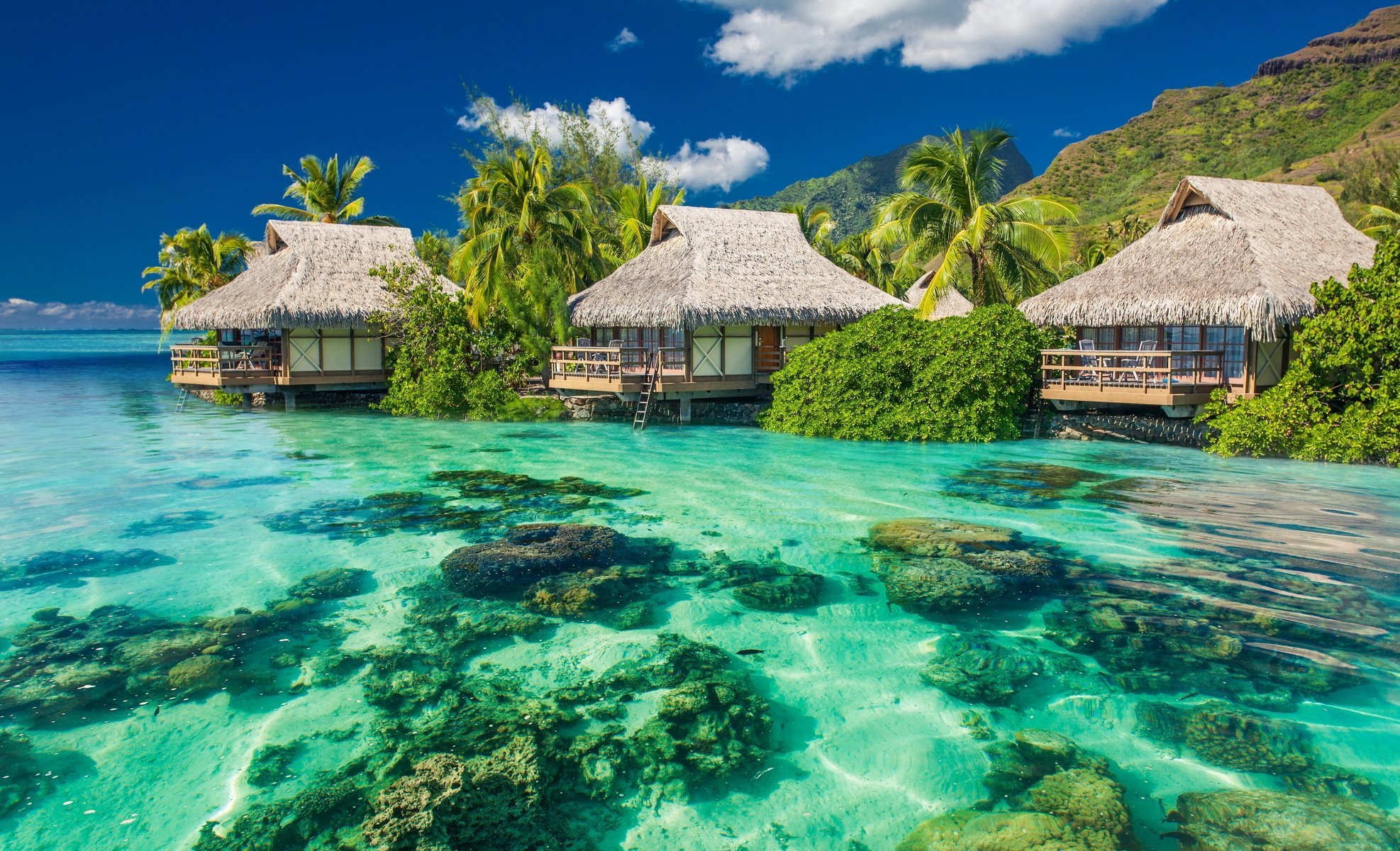 tropical paradise sunshine maison et confort station balnéaire tropiques vacances paradis plage palms mer océan été océan montagnes nature jungle palmiers été joliment