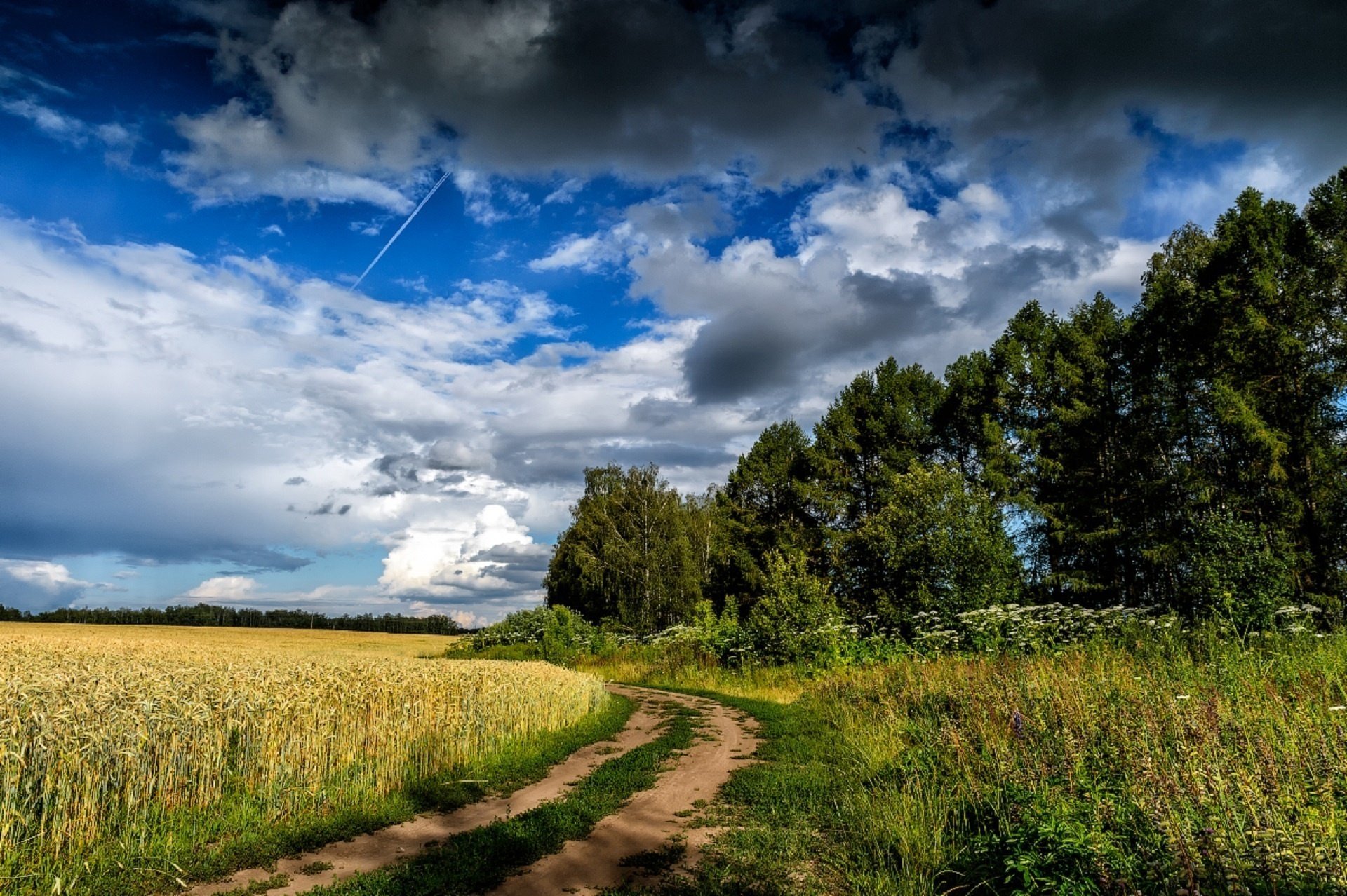 julia lapteva strada spighette estate cielo nuvole campo segale russia nuvole