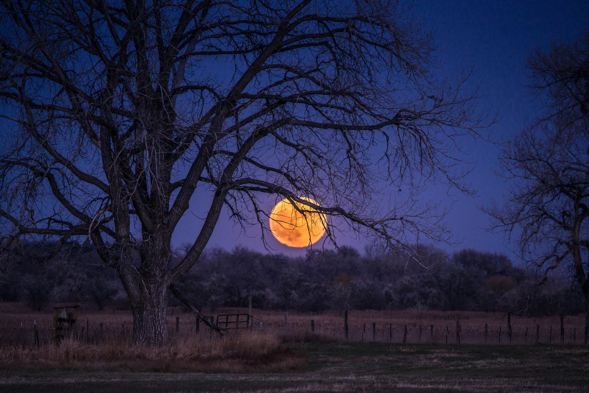 tarde puesta de sol naturaleza primavera árbol cielo