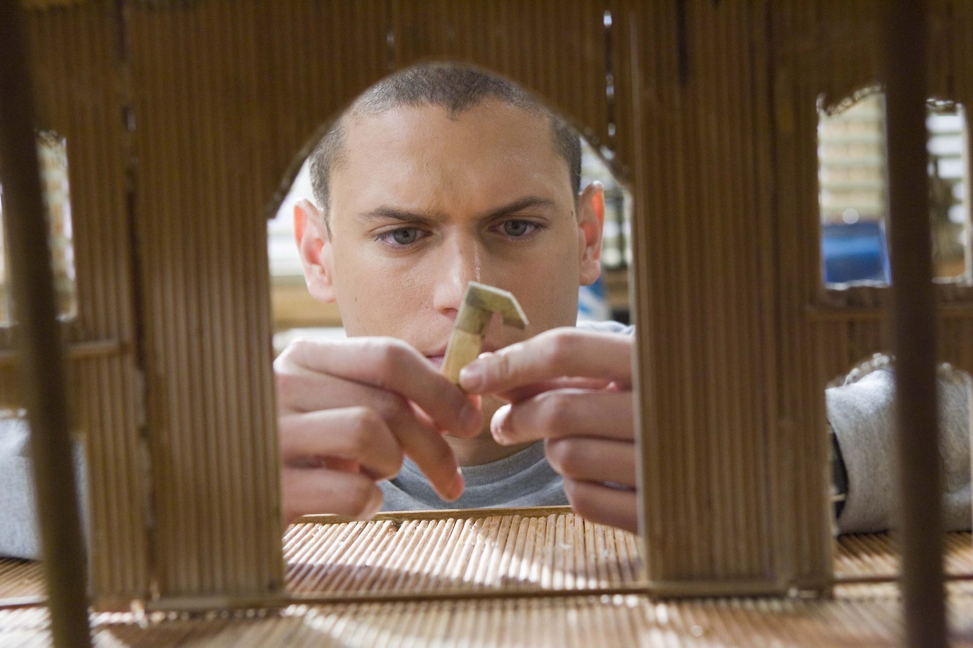 wentworth miller acteur prison break