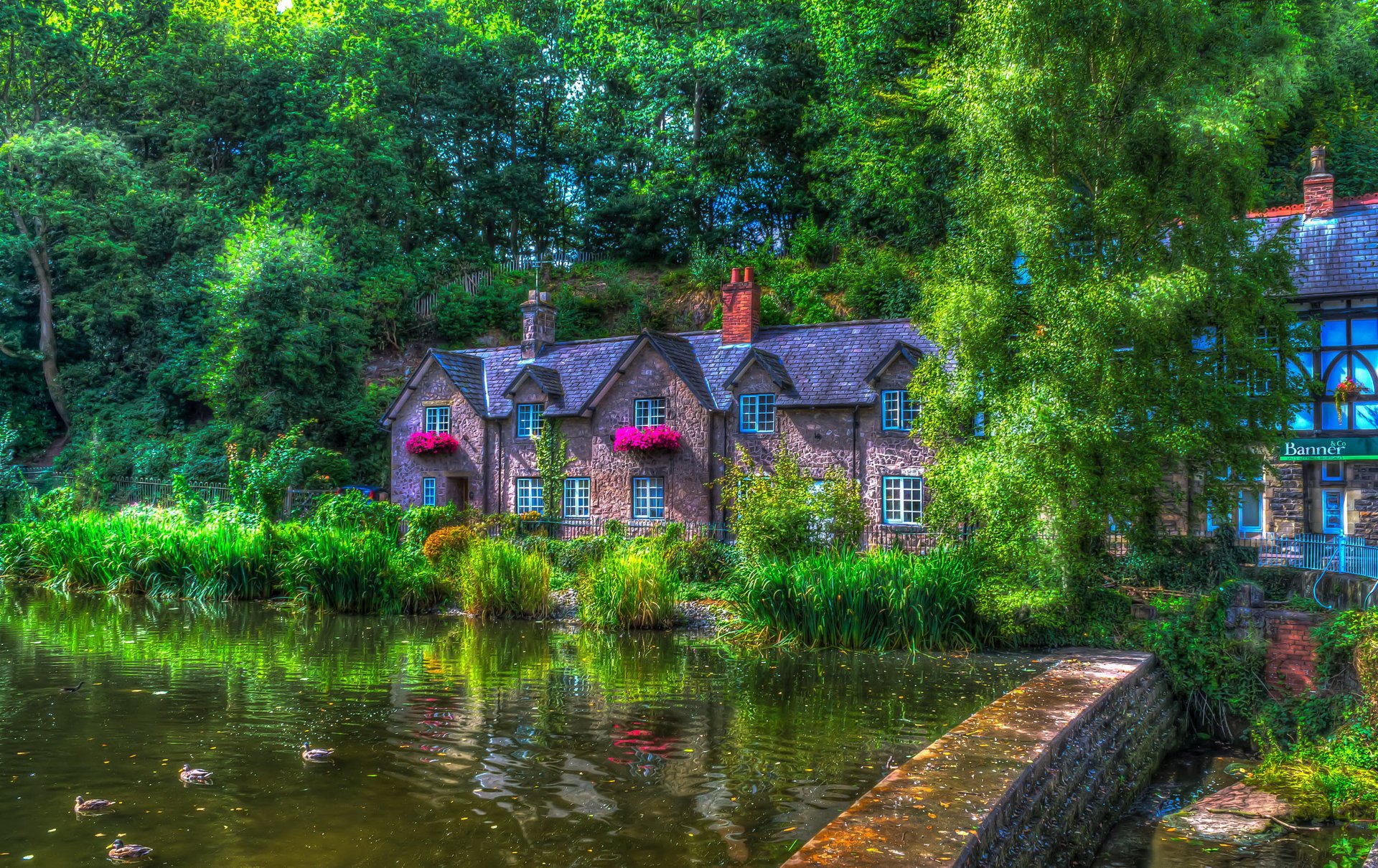 lymm inghilterra casa stagno anatre estate hdr alberi città