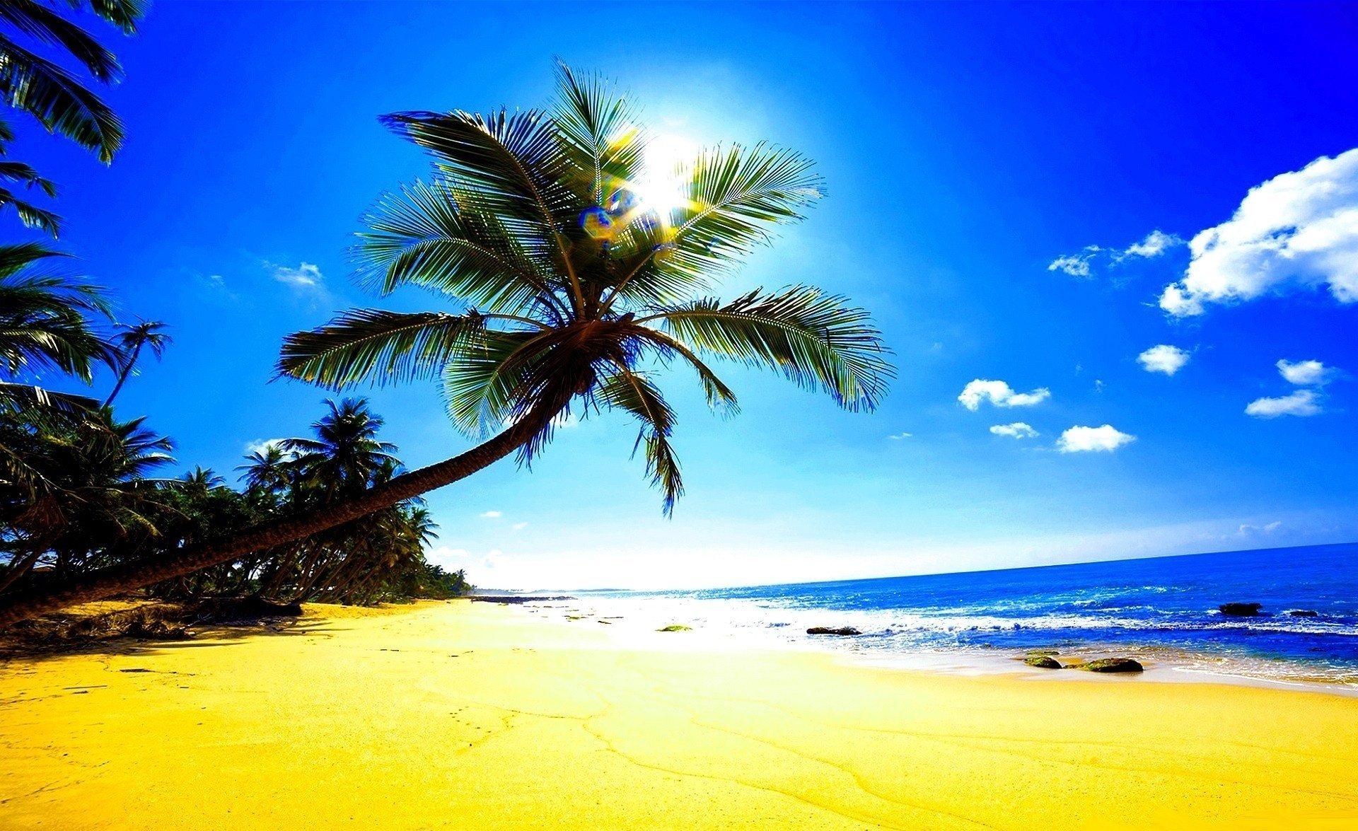 spiaggia sabbia palme sole abbagliamento oceano tropici