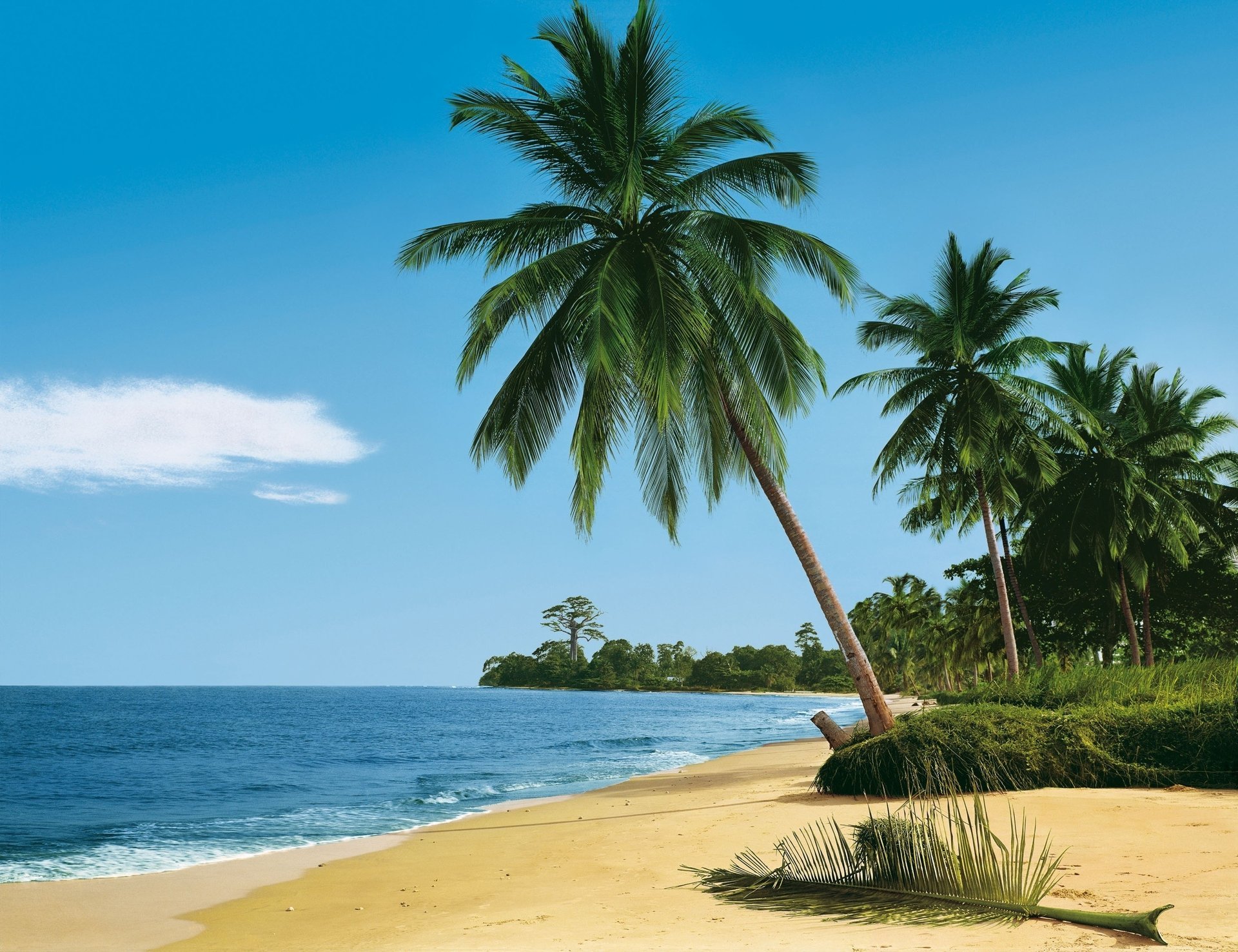 super photo nature tropiques palmiers plage océan paradis