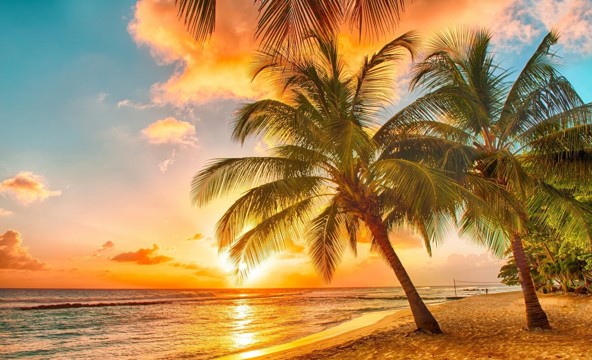 natur sommer tropen palmen strand ozean himmel sonnenuntergang