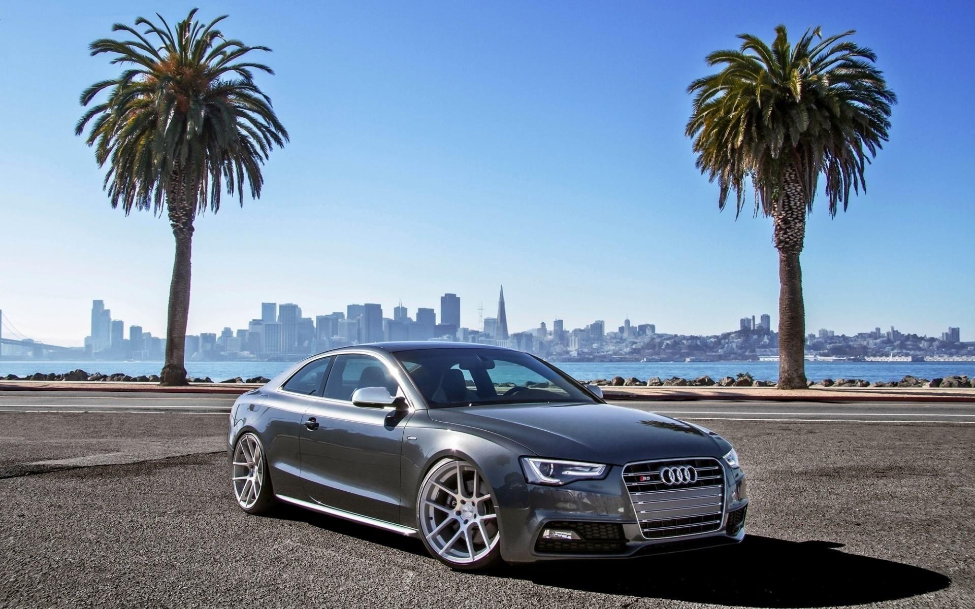 parking audi supercar photo palm trees the city