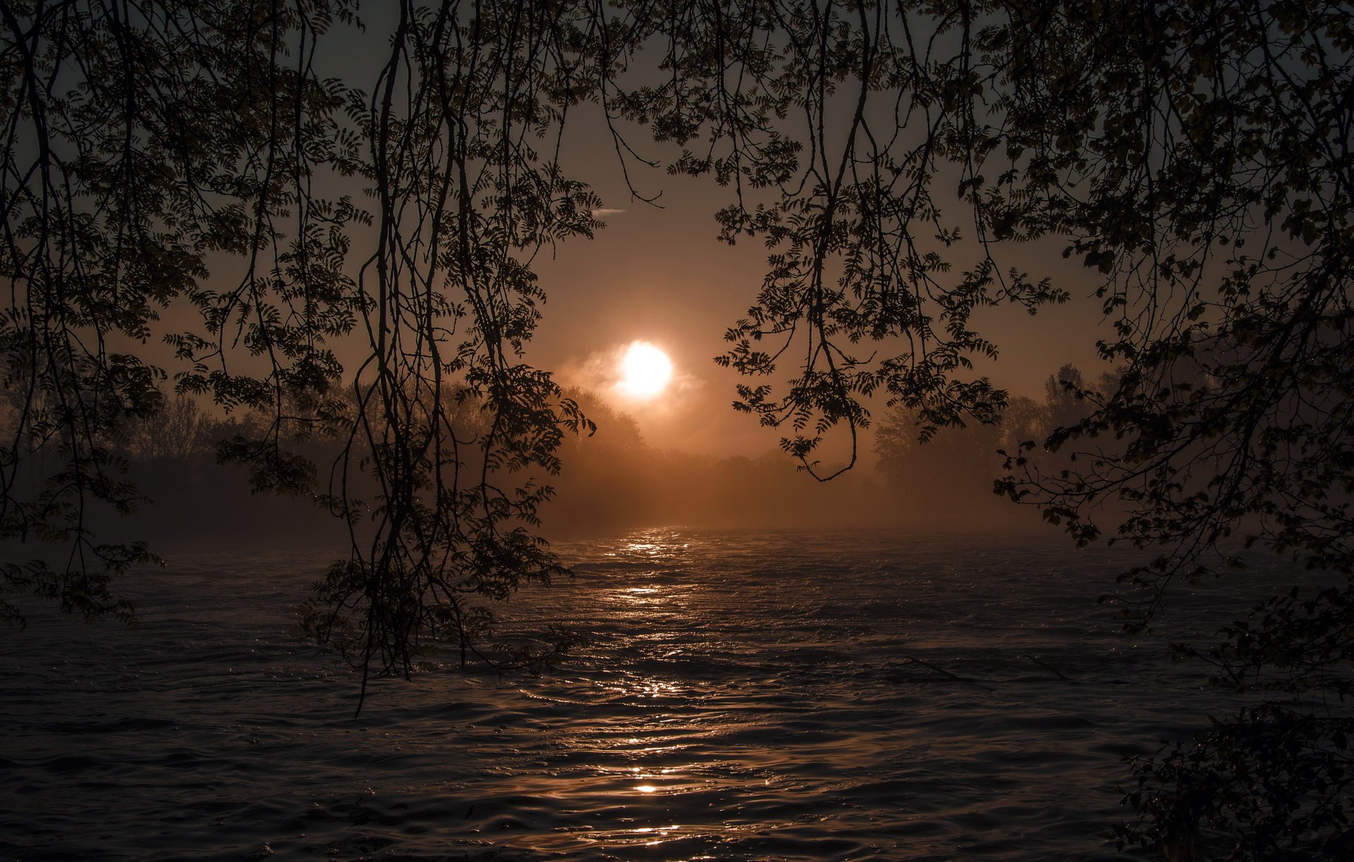 fluss sonne natur zweige sonnenuntergang