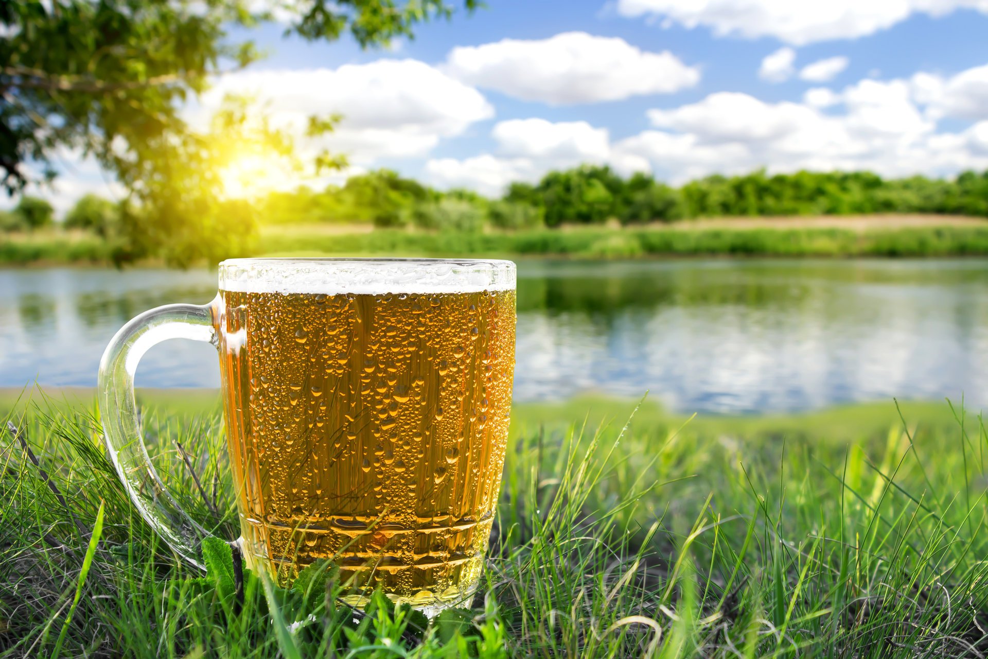 verre à vin bière gros plan nature été chaleur rivière