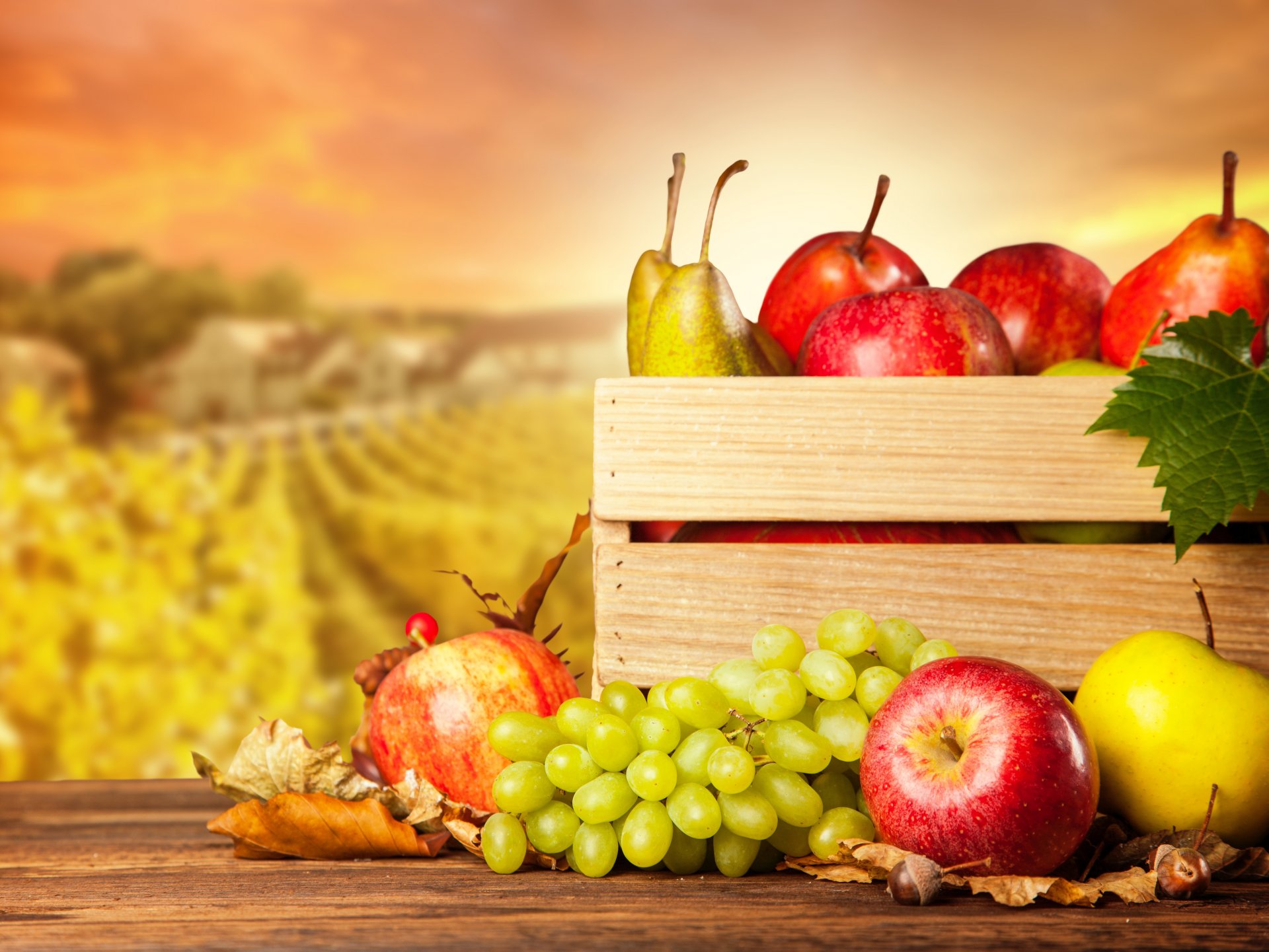 herbst ernte obst äpfel birnen trauben kiste