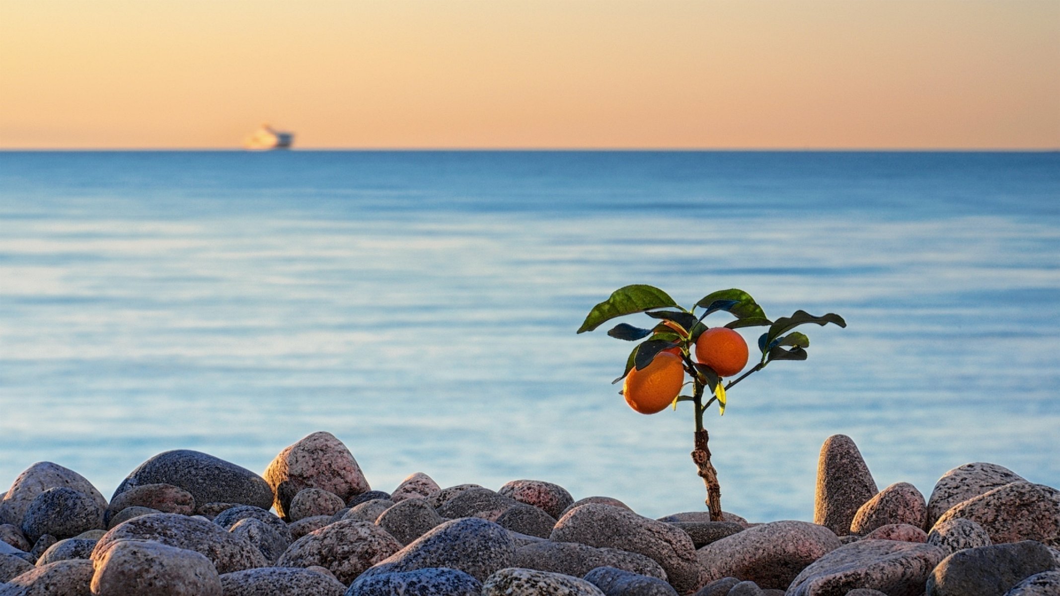 calamondin eduard gorobec piedras guijarros mar horizonte estonia