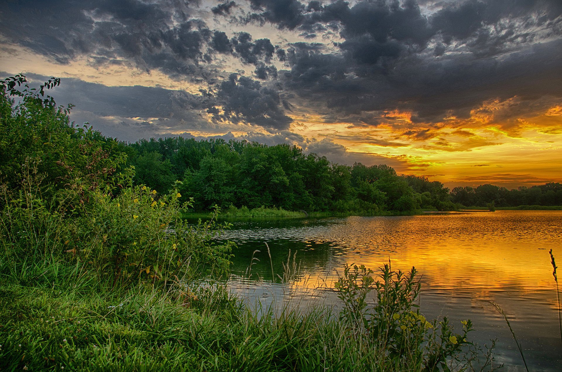 nature été lac étang arbres coucher de soleil nuages nuages