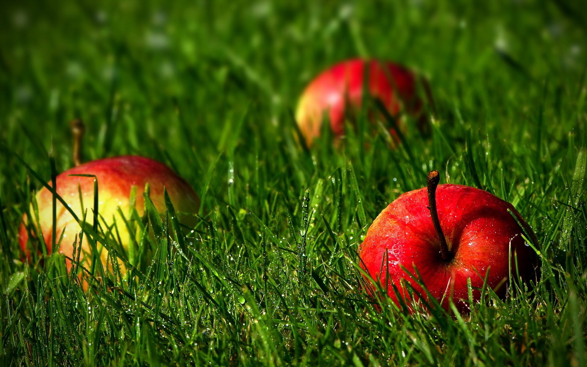 pommes fruits herbe gouttes