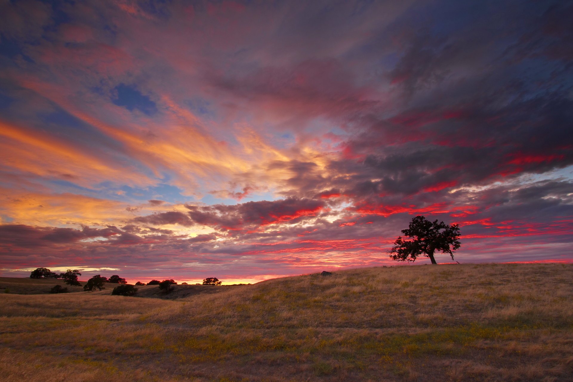 coucher de soleil ciel états-unis californie nuages nature