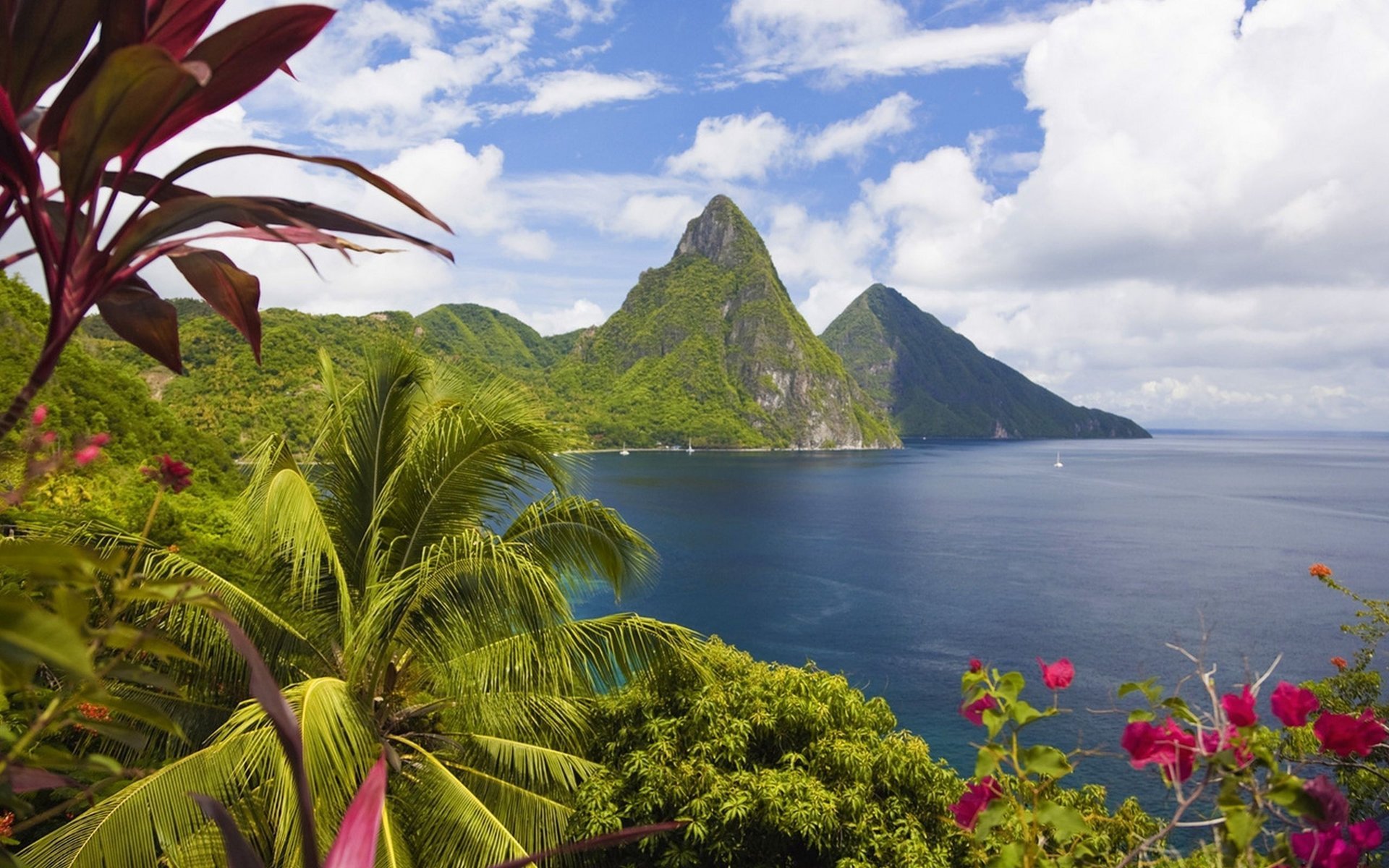 îles des caraïbes paysage océan palmiers montagnes côte