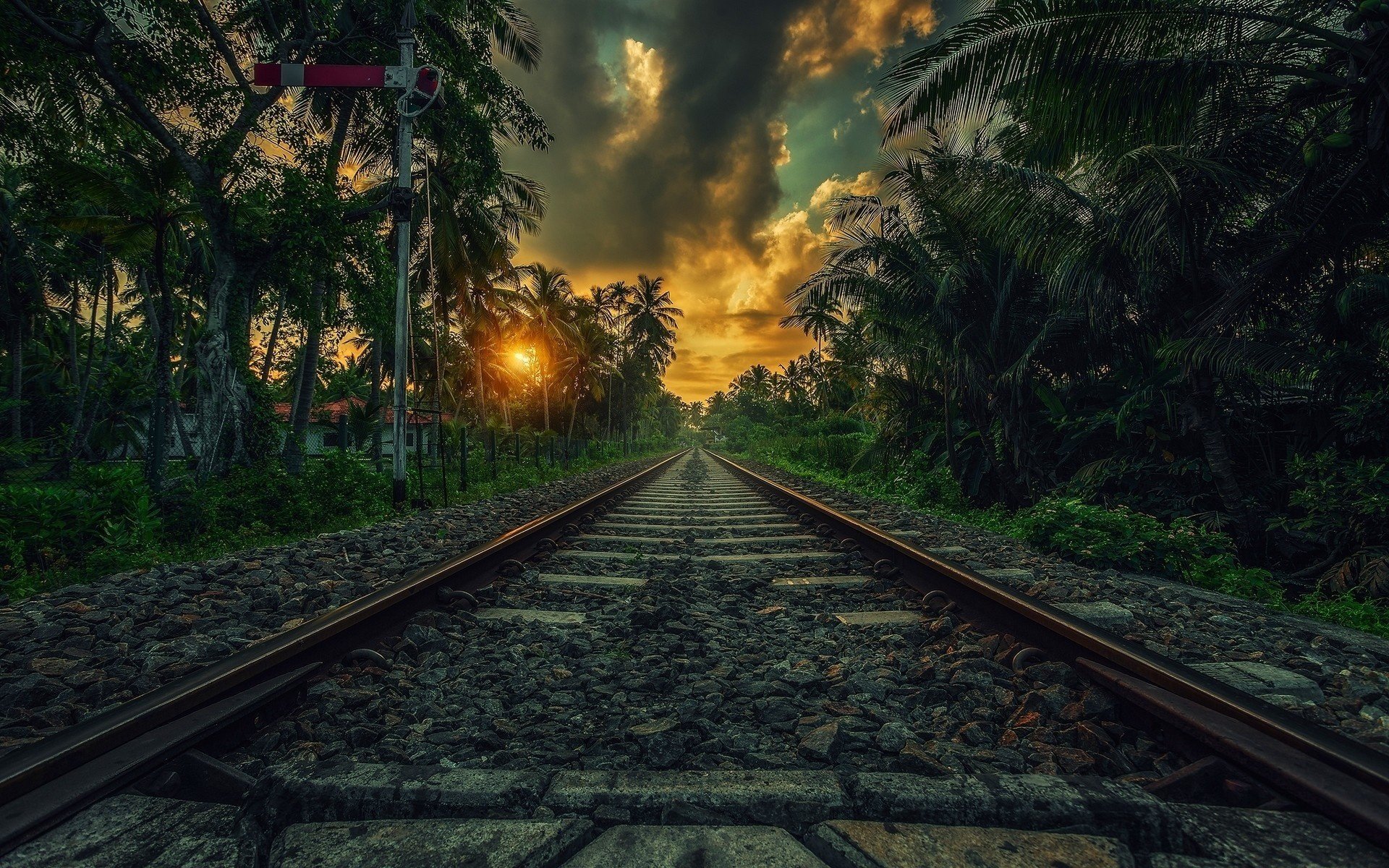 chemin de fer chemin de fer structure supérieure de la voie contre-rail passage chemin rails station palmiers coucher de soleil joliment