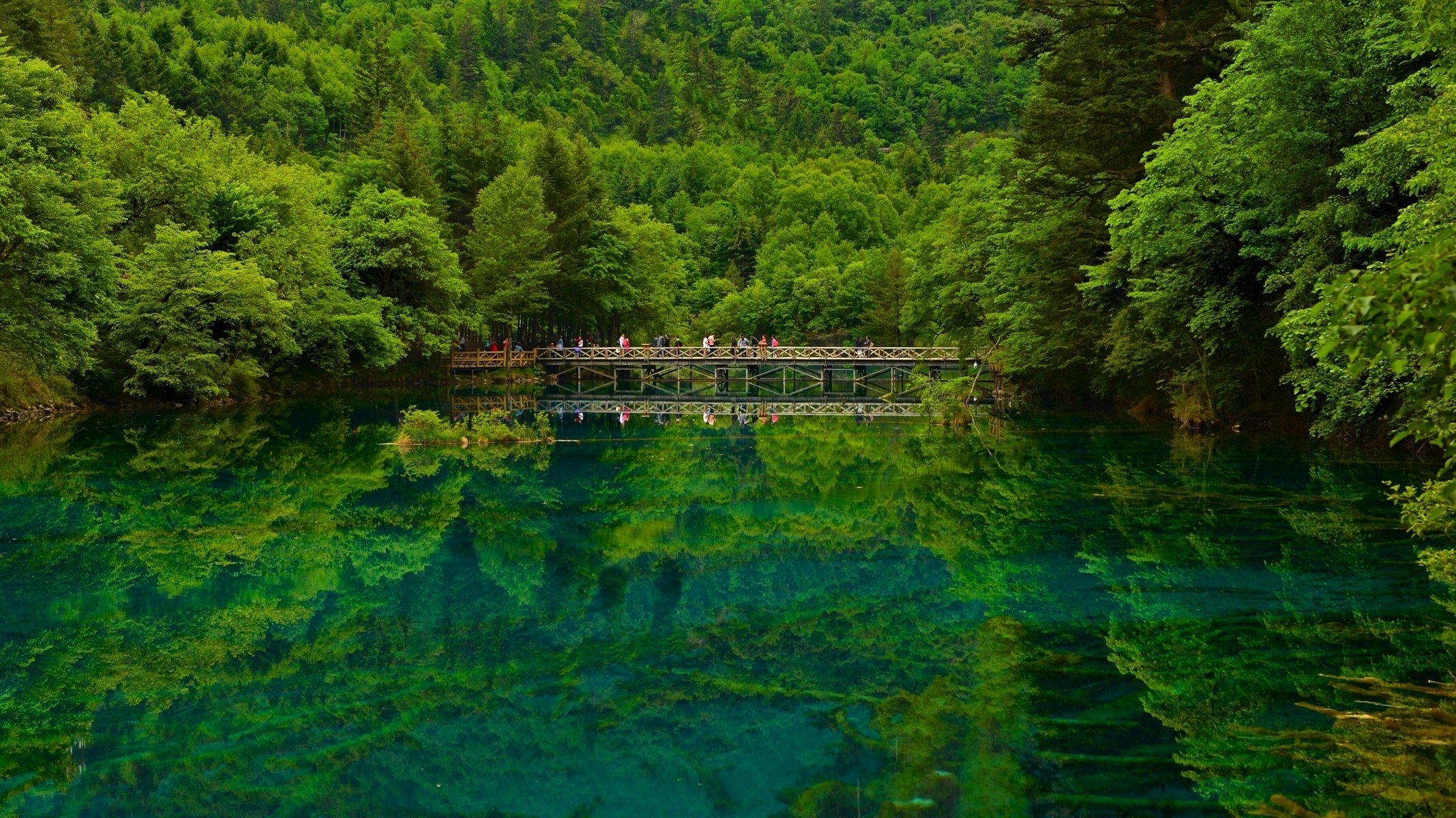 jiuzhaigou sichuan china lago puente bosque naturaleza