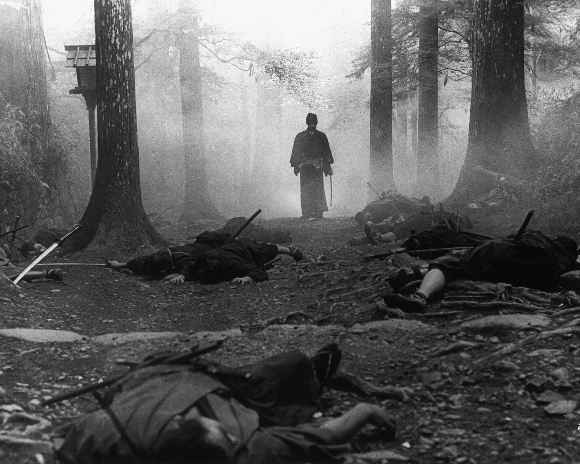 noir et blanc brouillard cadavres samouraï nationalités forêt arbres