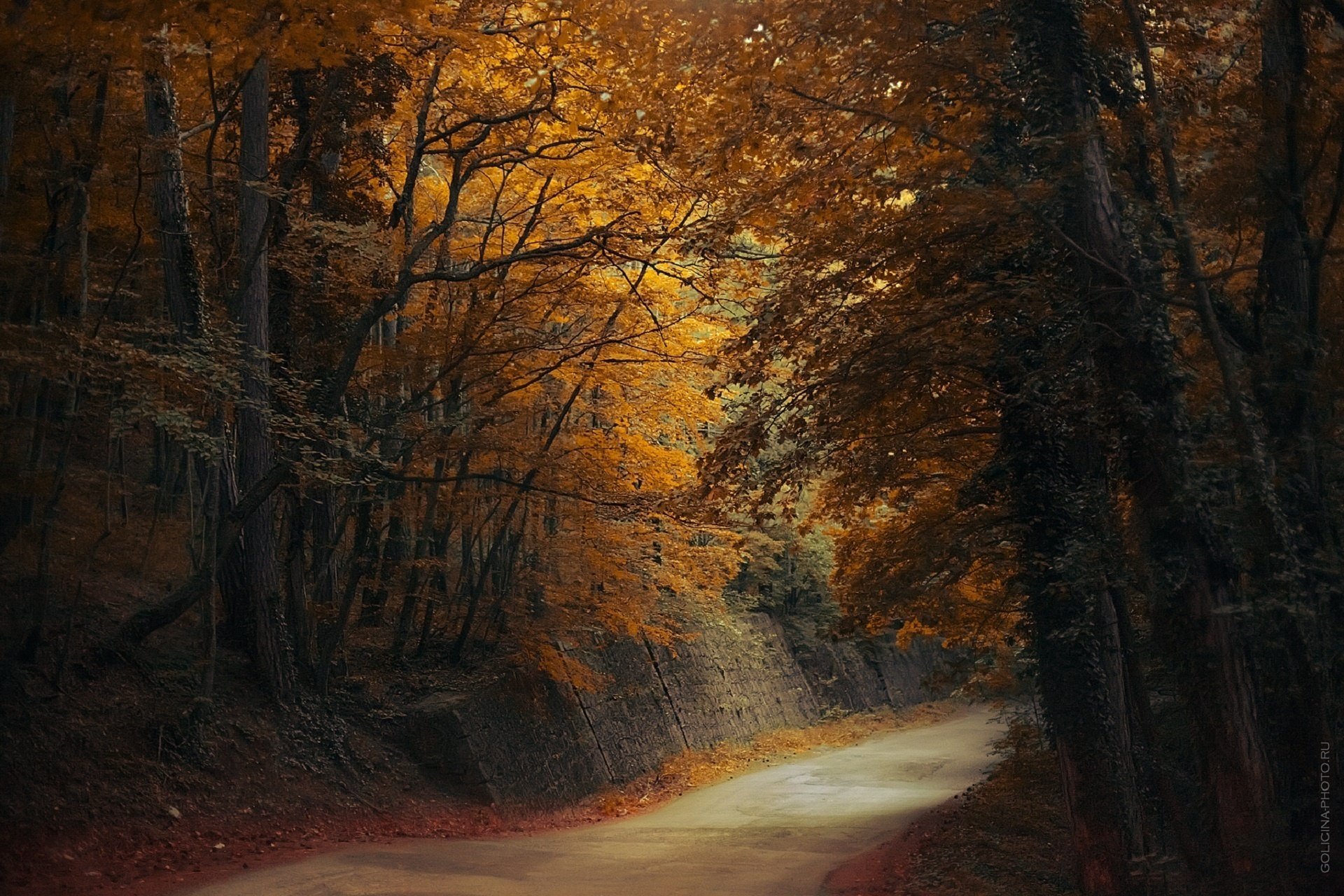 golicyna svetlana forest road autumn