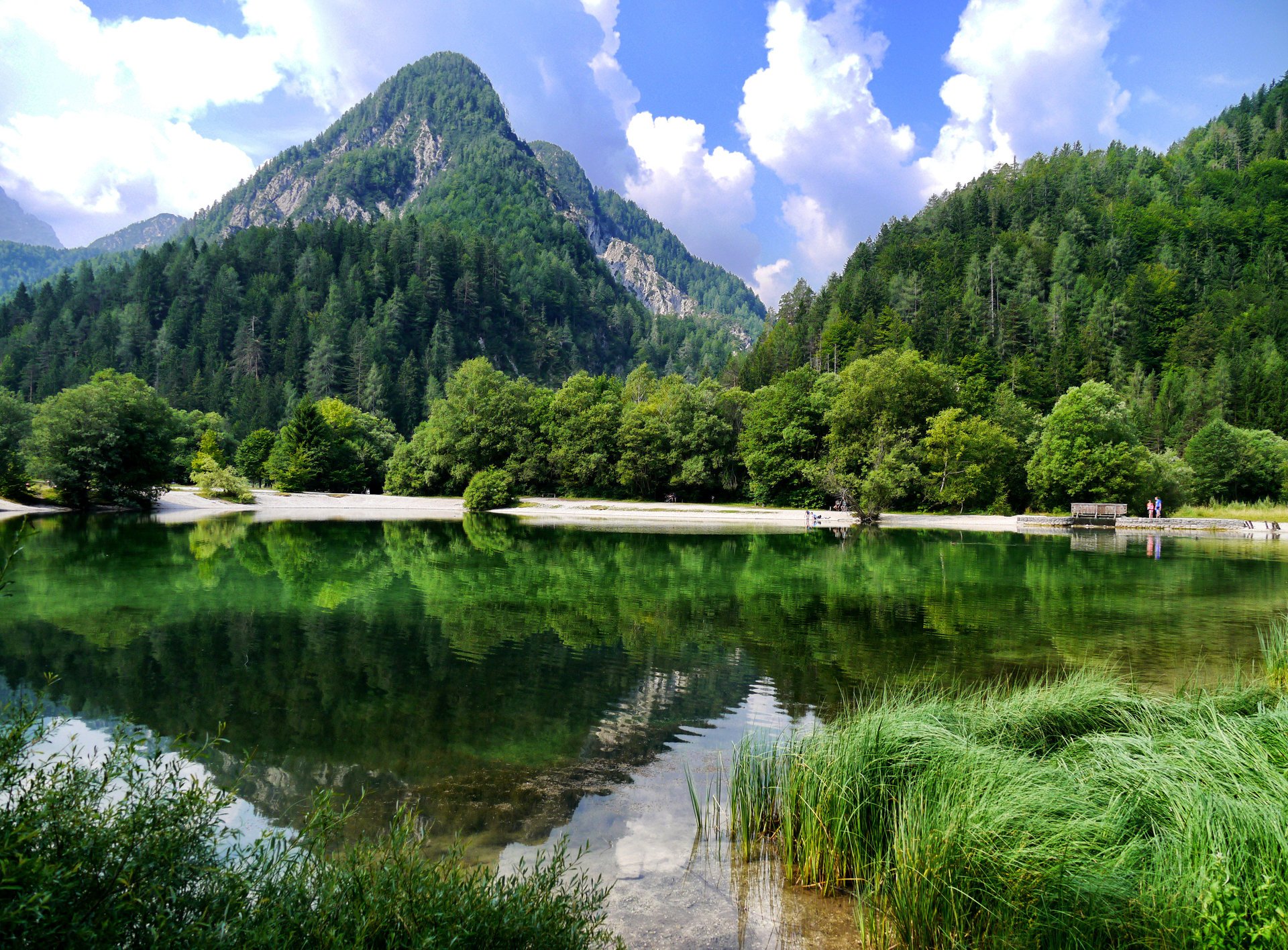 mountains forest lake beautiful nature