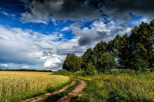 Schöner Himmel im Sommer im Feld