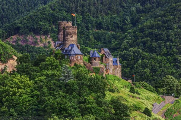 En Allemagne, il y a un grand château dans la forêt